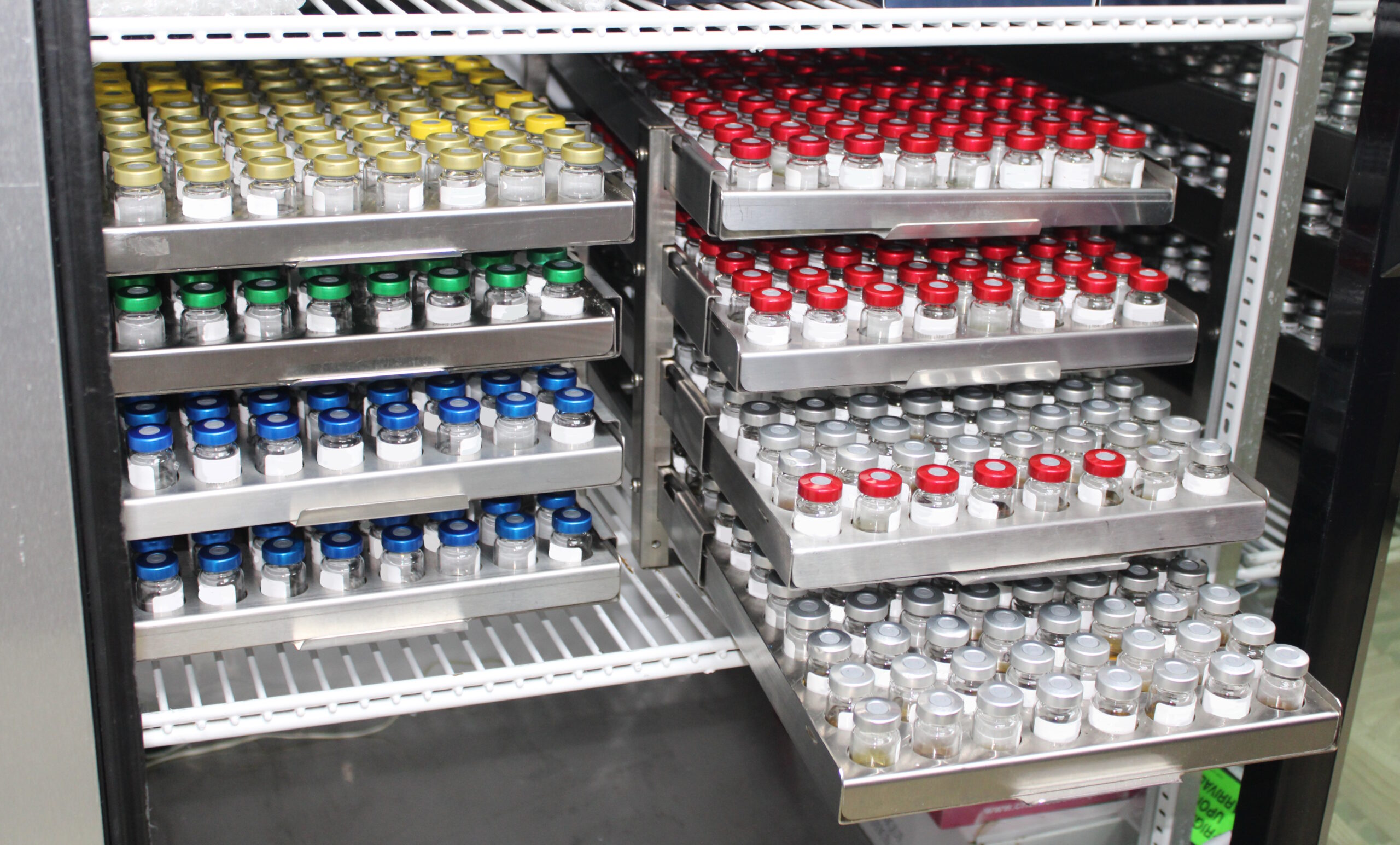 Metal rack inside cold storage holding trays of glass vials with color-coded caps—yellow, green, blue, red, gray—organized for pharmaceutical inventory. Some trays pulled out to show vial rows. Ideal for vaccine, medication, or lab sample storage.